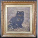 EARLY 20TH CENTURY OIL ON BOARD PORTRAIT OF CAT