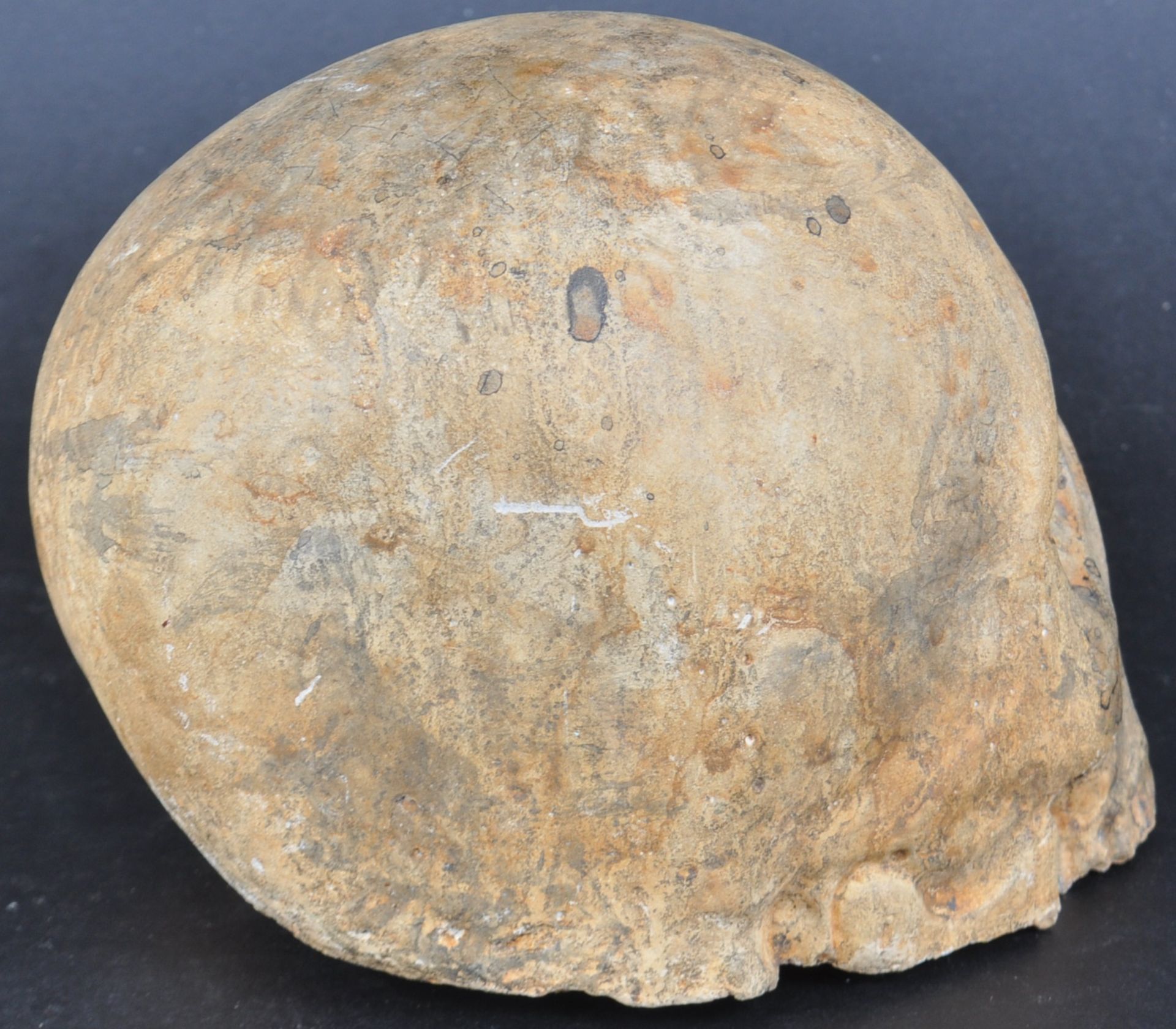 19TH CENTURY MEMENTO MORI SKULL - Image 3 of 6