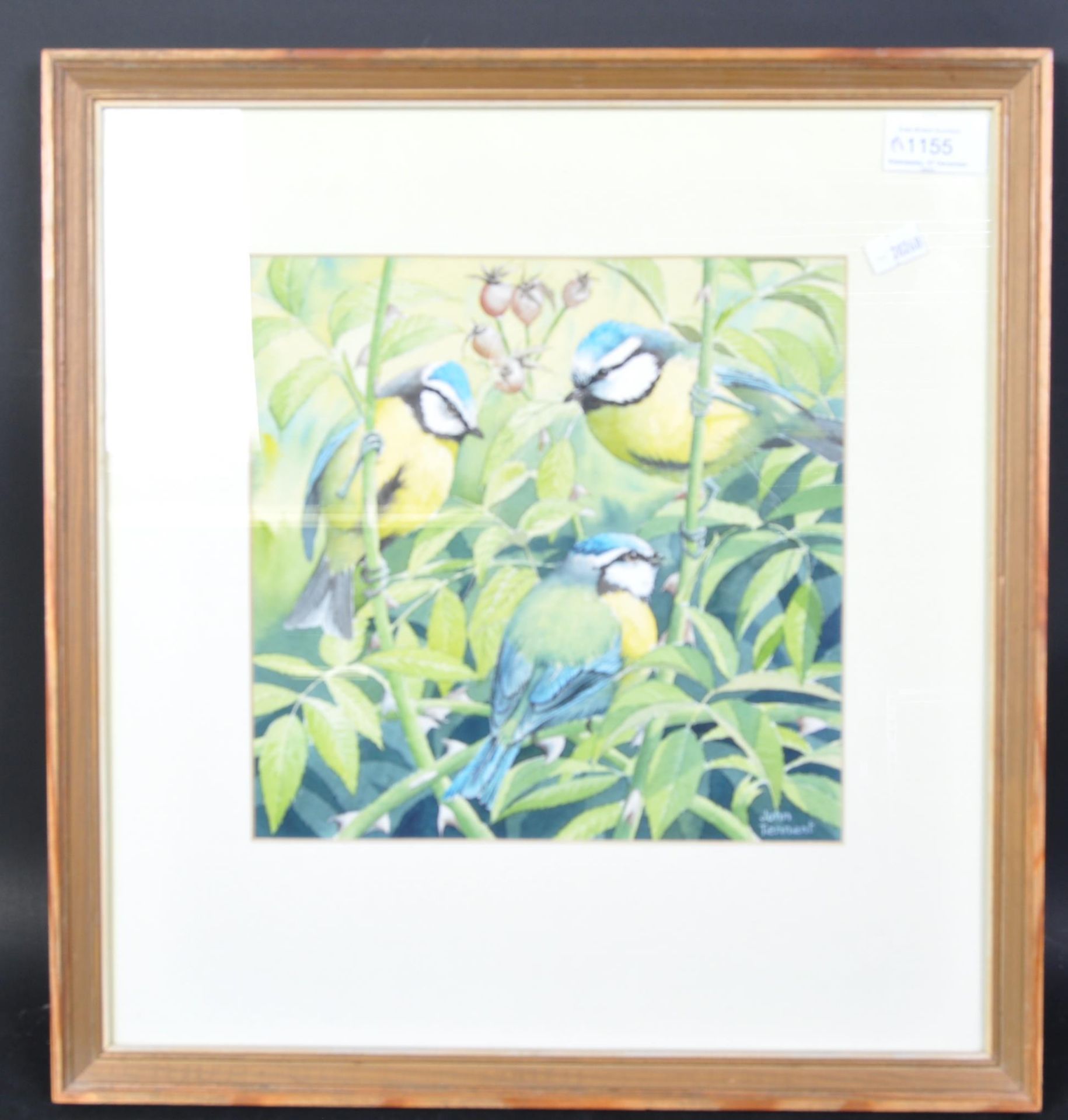 JOHN TENNENT - WATER COLOUR PAINTING OF BLUE TITS