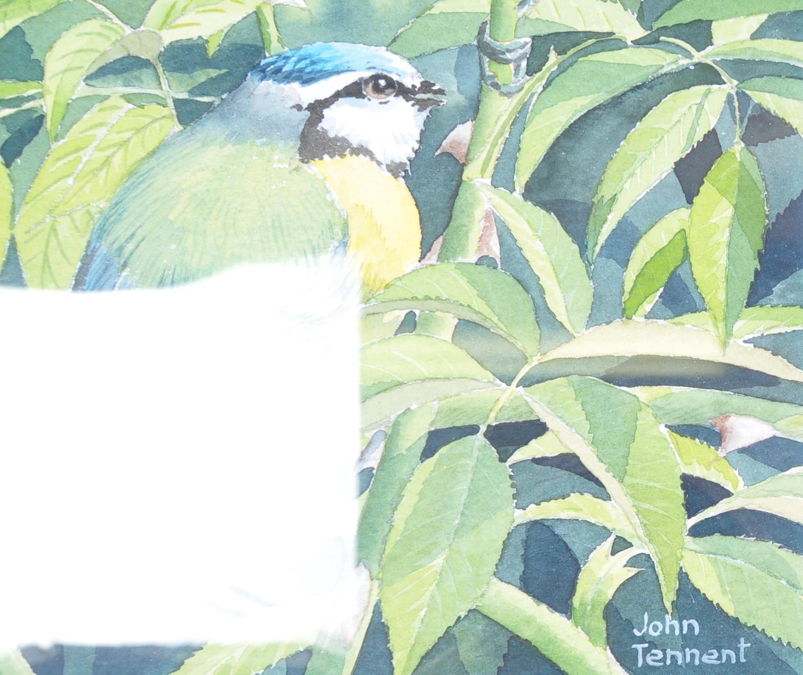 JOHN TENNENT - WATER COLOUR PAINTING OF BLUE TITS - Image 3 of 5