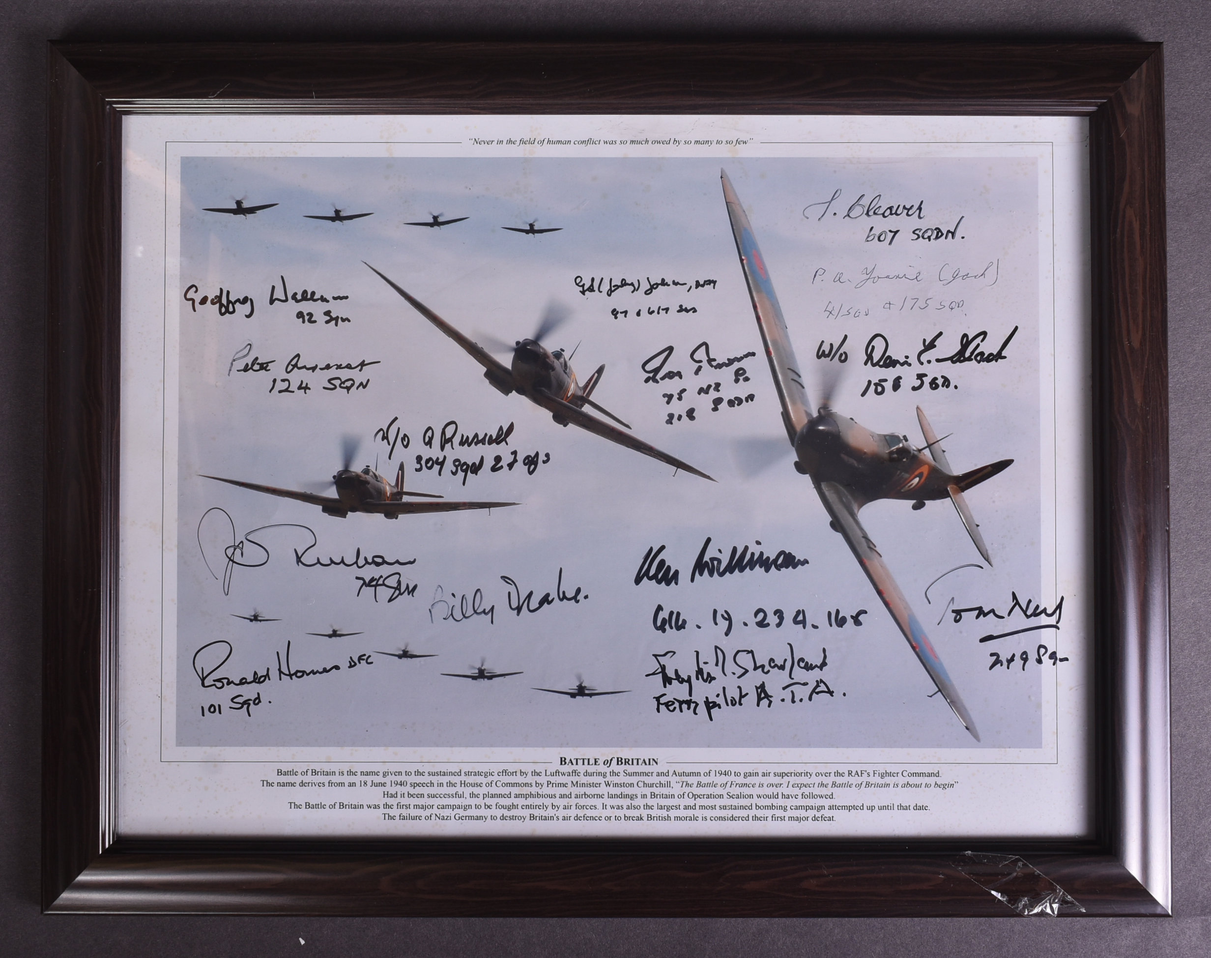 WW2 VETERANS / PILOTS - MULTI-SIGNED BATTLE OF BRITAIN PHOTO