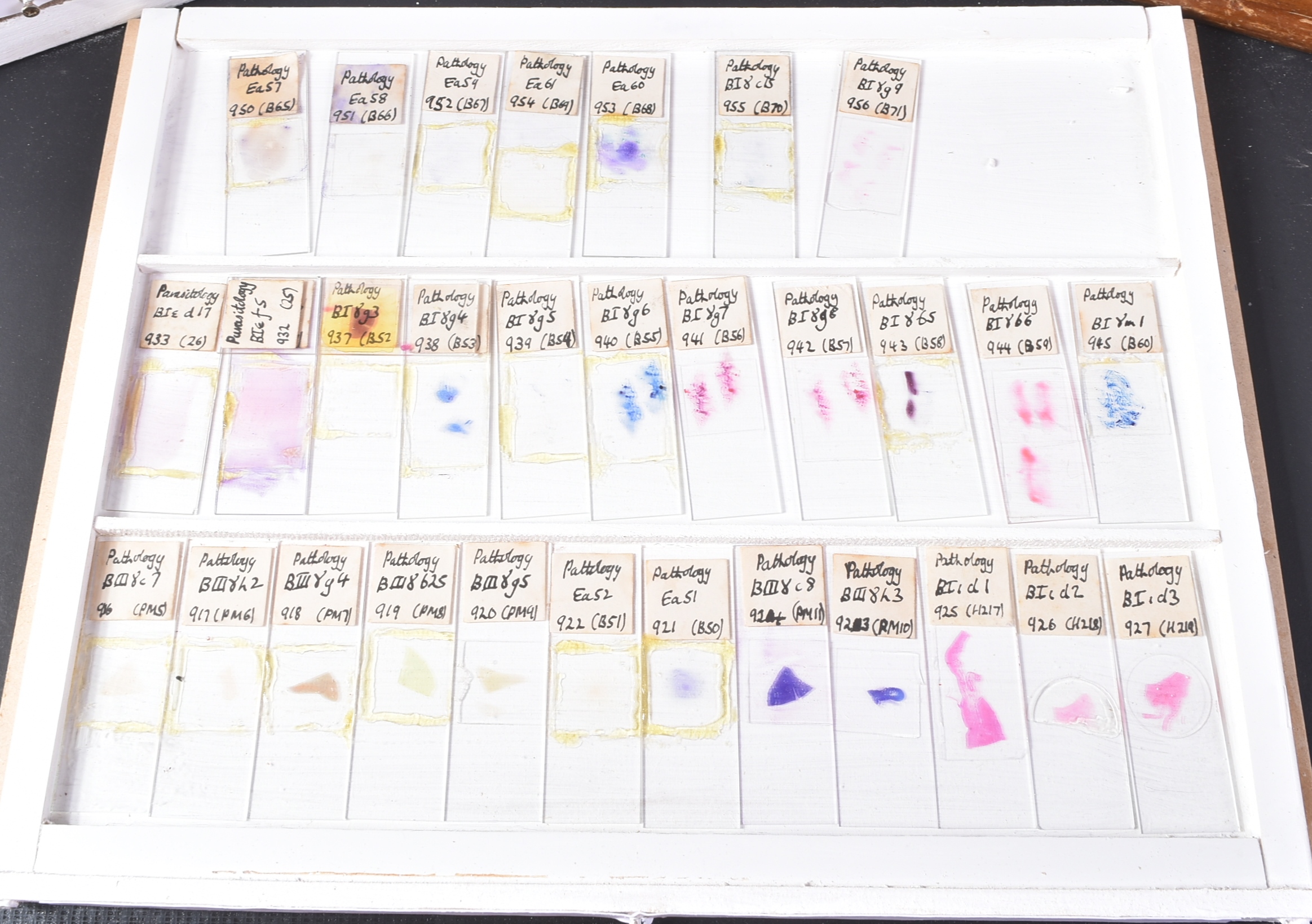 LARGE & EXTENSIVE BECK CABINET MICROSCOPE SLIDE COLLECTION - Image 79 of 101