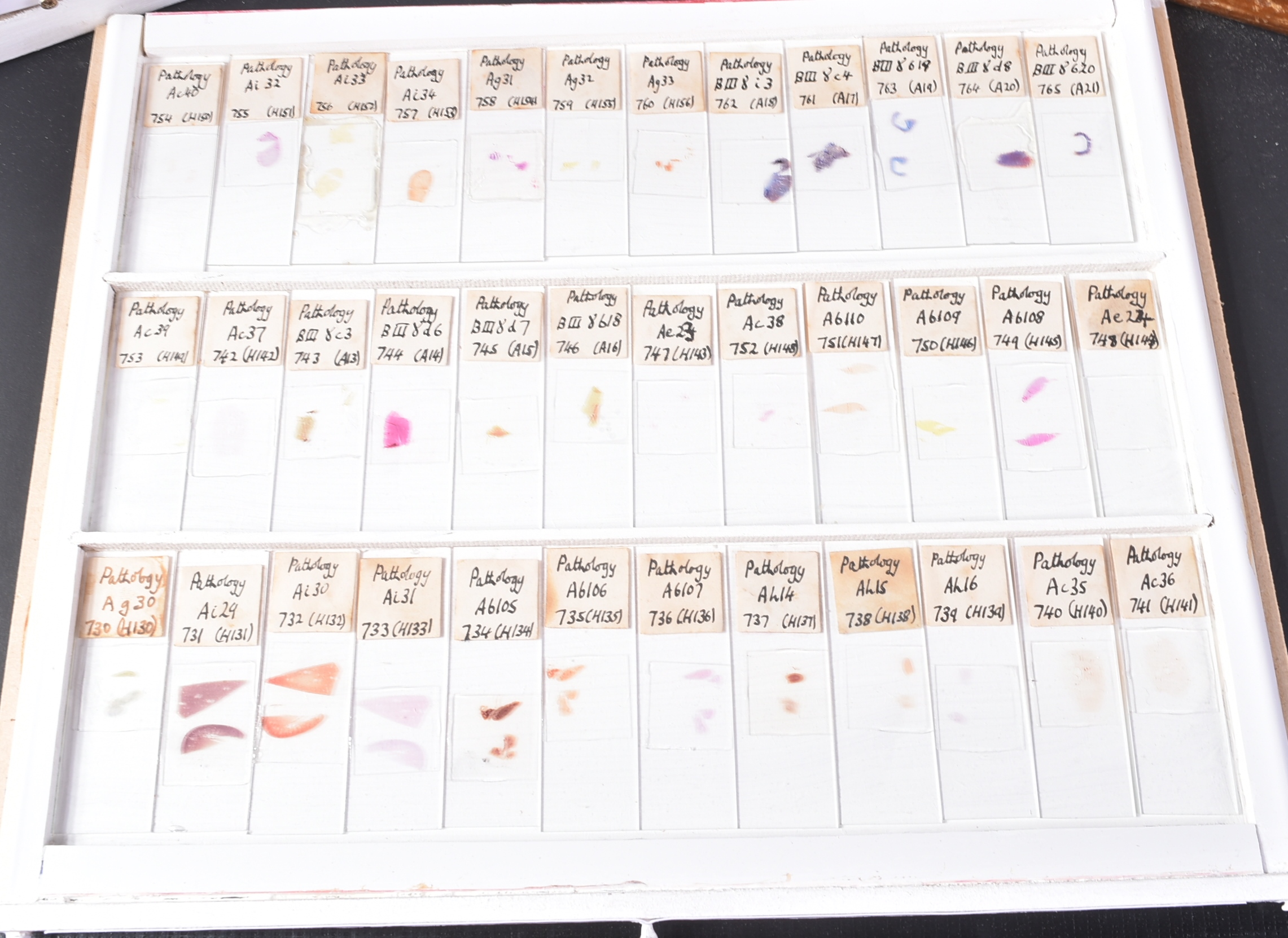 LARGE & EXTENSIVE BECK CABINET MICROSCOPE SLIDE COLLECTION - Image 83 of 101