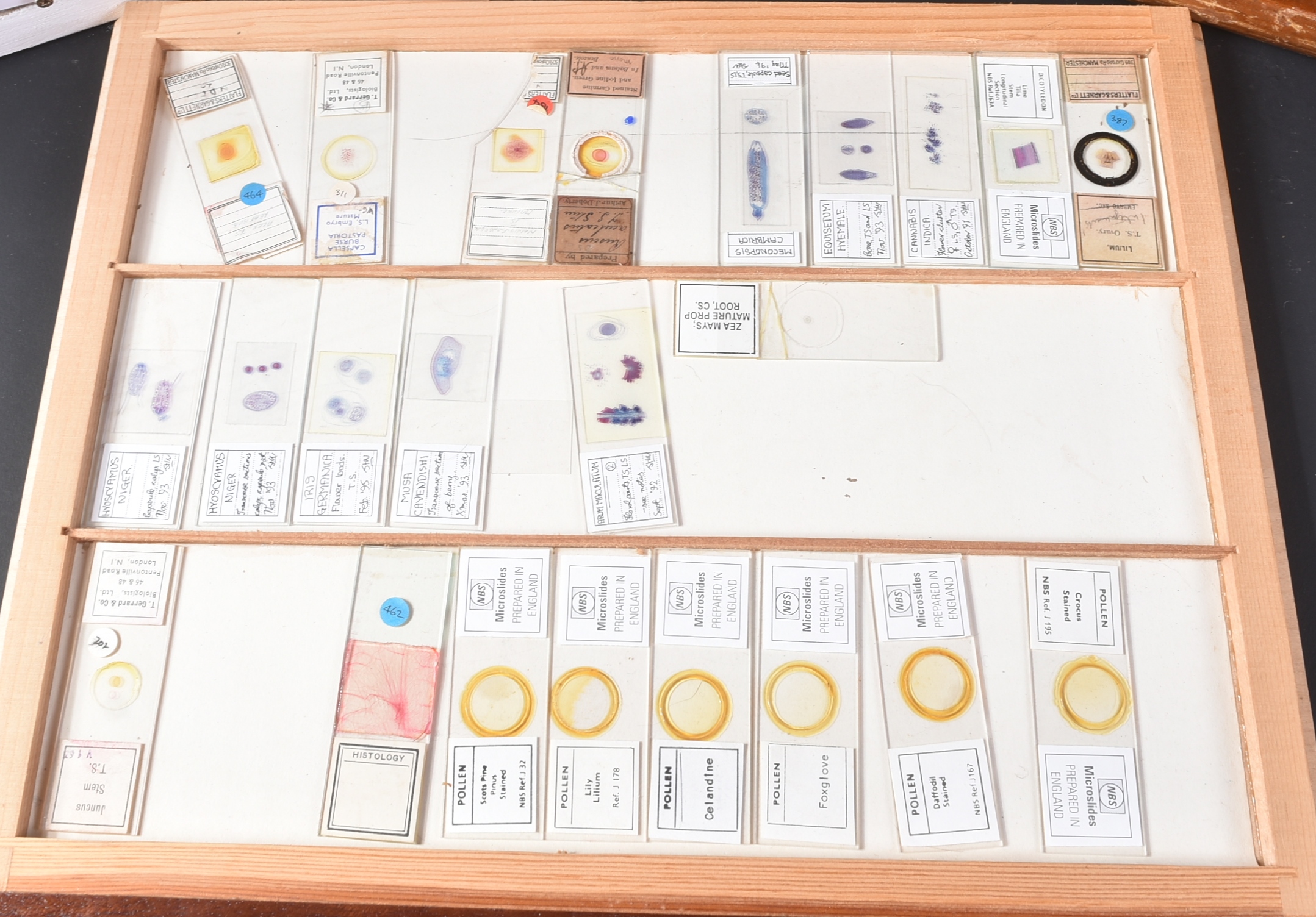 LARGE & EXTENSIVE BECK CABINET MICROSCOPE SLIDE COLLECTION - Image 41 of 101