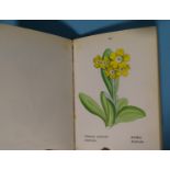 Weber (J C), Die Alpen-pflanzen, four volumes, 400 hand-coloured plates, hf mor gt, 12mo, 1878-