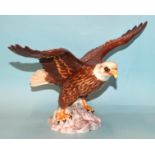 A Beswick 'Bald Eagle' no.1018, impressed marks to base, 19cm high.