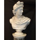 A large D Brucciani painted plaster bust 'Apollo Belvedere' after the antique, on marble, wood and