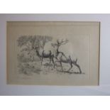 After Robert Hills OWS (1769-1844), 'Study of a Stag and Doe', etching, London pub. 1813, 21 x 31cm,