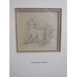 Alfred Pierpoint Chambers? STUDY OF A SMALL DOG Pencil sketch ("Attributed to" on the mount), 9.5