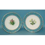 A pair of Minton cabinet plates, one painted with a tulip, the other with primroses, with pink and