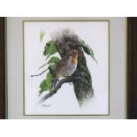 Anthony Gibbs (20th century) STUDY OF A ROBIN PERCHED IN A CHERRY TREE Signed watercolour, 26 x 23.