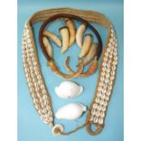 An Oceanic cowrie shell belt, 94cm long, a whale's tooth necklace and two white cowrie shells, (4).