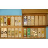A large collection of scientific microscope slides, mainly relating to fish.