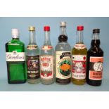 Gordon's Gin 37.5%vol, 70cl, one bottle, Russian Vodka, 1/2 litre, three bottles, Zubrowka Bison