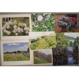 A collection of eight works on paper depicting flowers and plants, 56 x 39cm, together with