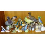 Two Beswick bird figures, Kingfisher 7cm high, Wren and a collection of other ceramic bird