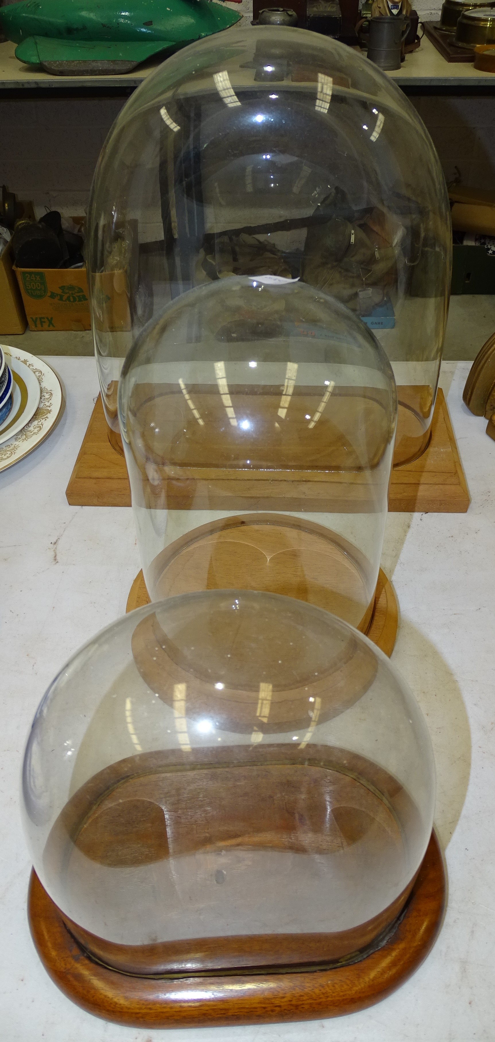 A glass dome, internal measurements 31cm wide, 33cm high, 12.5cm deep, on modern wood stand, and two