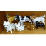 Four Beswick models: Dog with ladybird on nose, Corgi - small, Rottweiler  - standing, West Highland