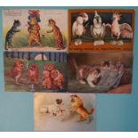 Two Louis Wain postcards: one of cats, the other owls and three other animal postcards.