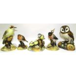 A collection of five Crown Derby bird sculptures: Barn Owl, Blue Tit with Chicks, (a/f, cracked),