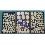 A collection of approximately 165 mainly numbered plaster intaglios in three trays marked Museo,