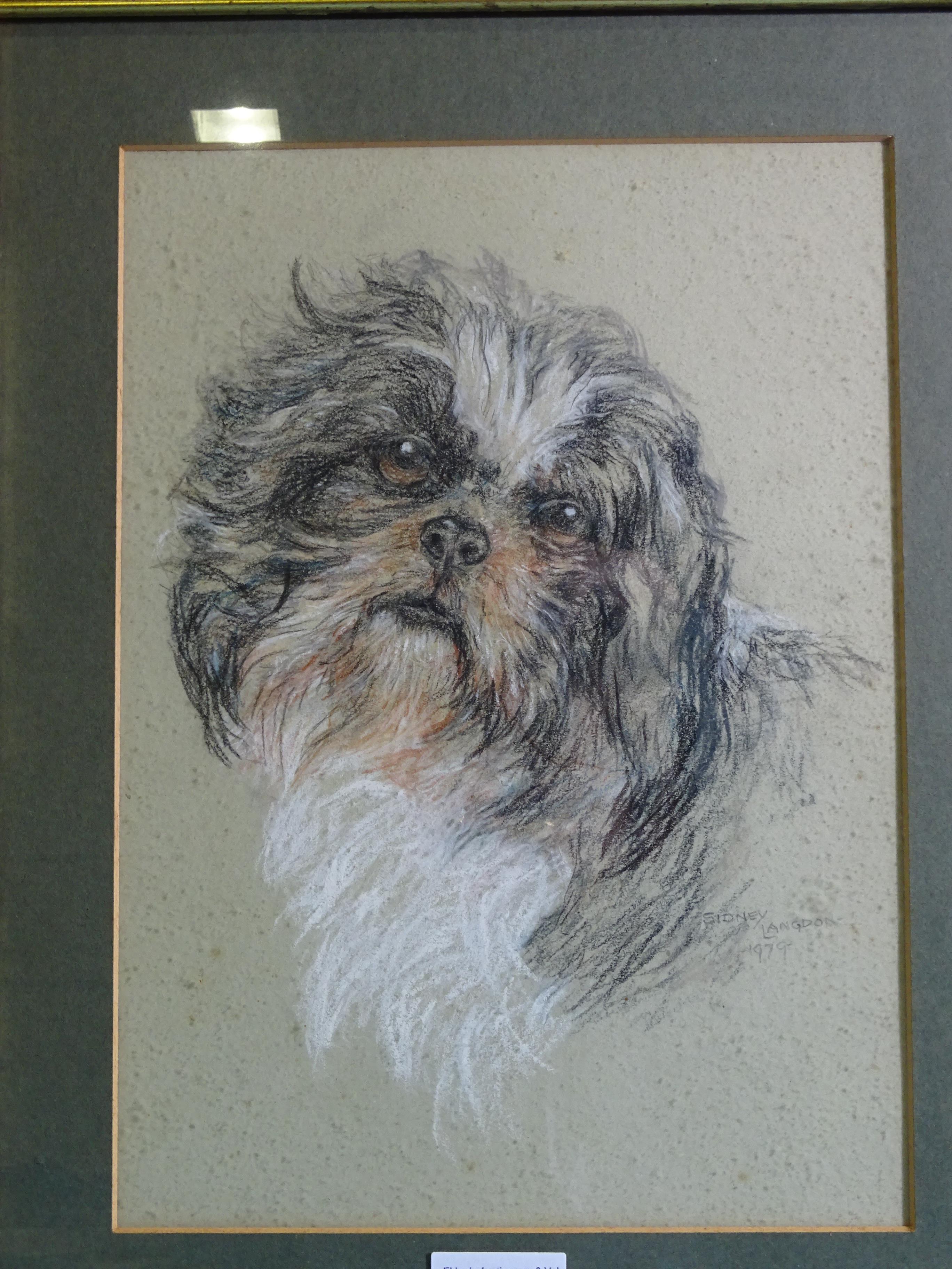 Robert Oscar Lenkiewicz (1941-2002) STUDY OF TWO DOGS Signed pencil sketch, 35 x 45cm and a pastel - Bild 4 aus 5