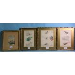 19th century English School THREE STUDIES OF EXOTIC BIRDS AND ARCHITECTURAL SUBJECTS Pencil drawings