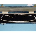A string of graduated cultured pearls, 42cm, (boxed).