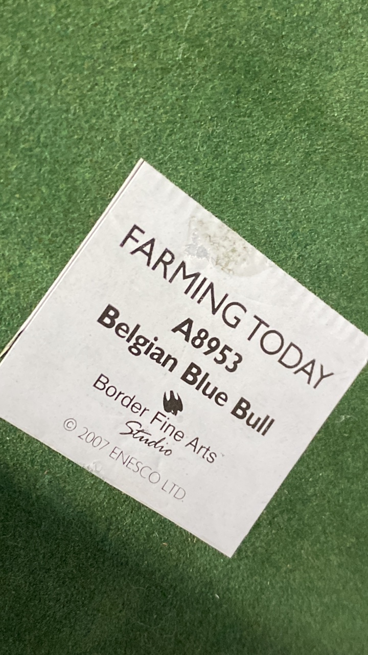 BFA FARMING TODAY BELGIAN BLUE BULL A8953 - Image 15 of 16