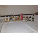 13 ASSORTED WHISKY MINIATURES