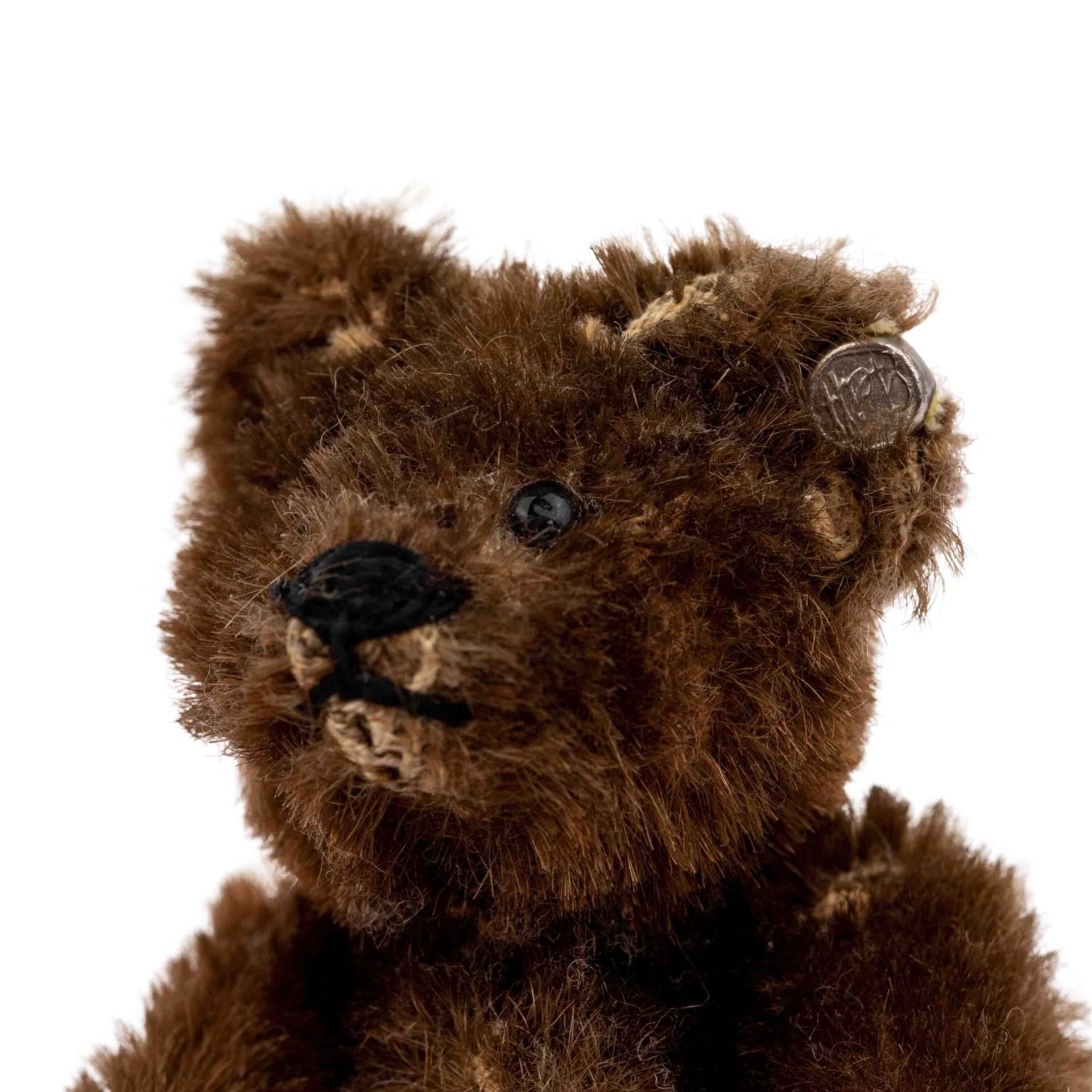 STEIFF Teddy-Baby und Miniatur -Teddy, um 1950. - Bild 6 aus 7