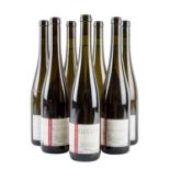 HIRSCHHORNER HOF 7 Flaschen RIESLING 2007 (2), 2008 (2), 2009 (3)