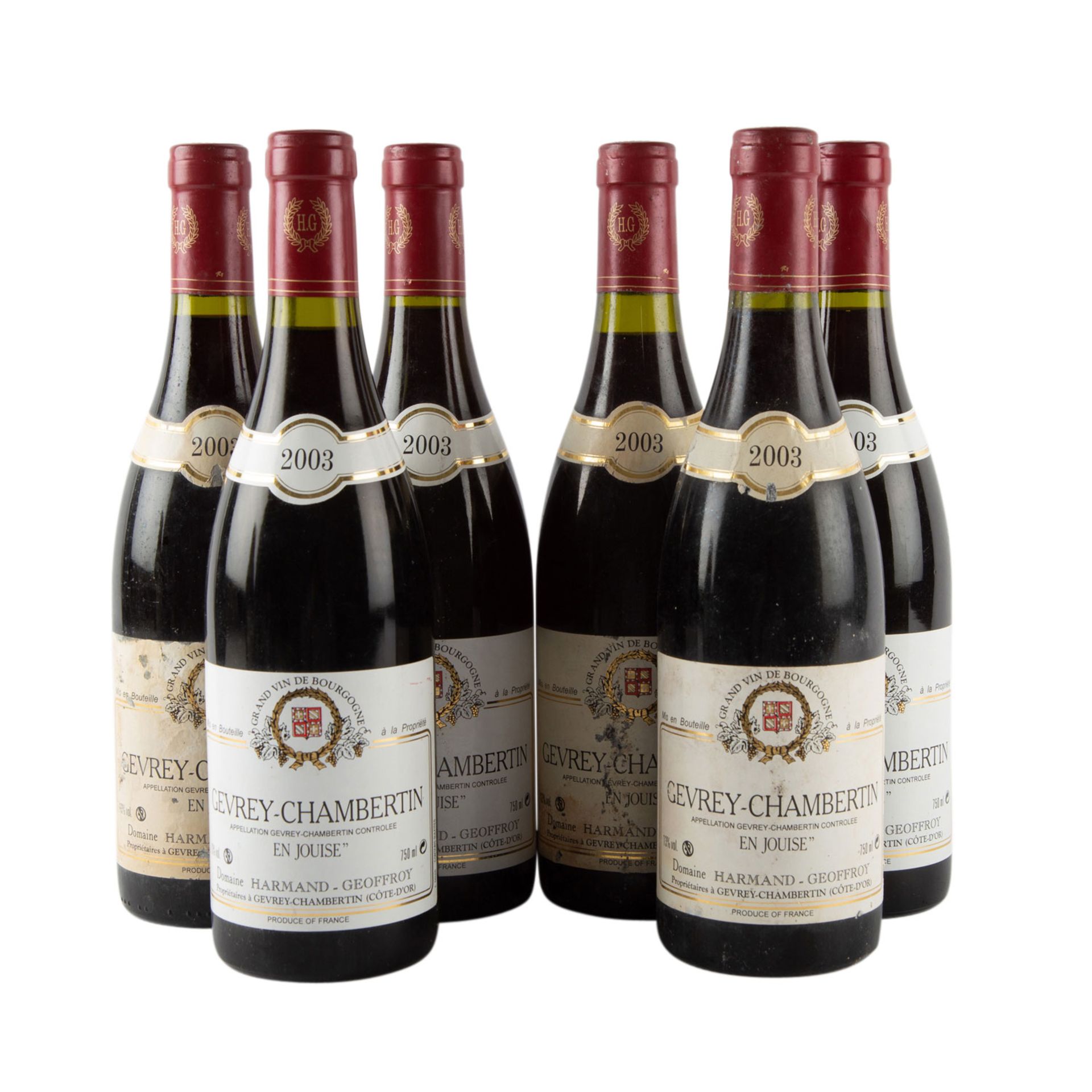 DOMAIN HARMAND-GEOFFROY 6 Flaschen GEVREY-CHAMBERTIN 2003