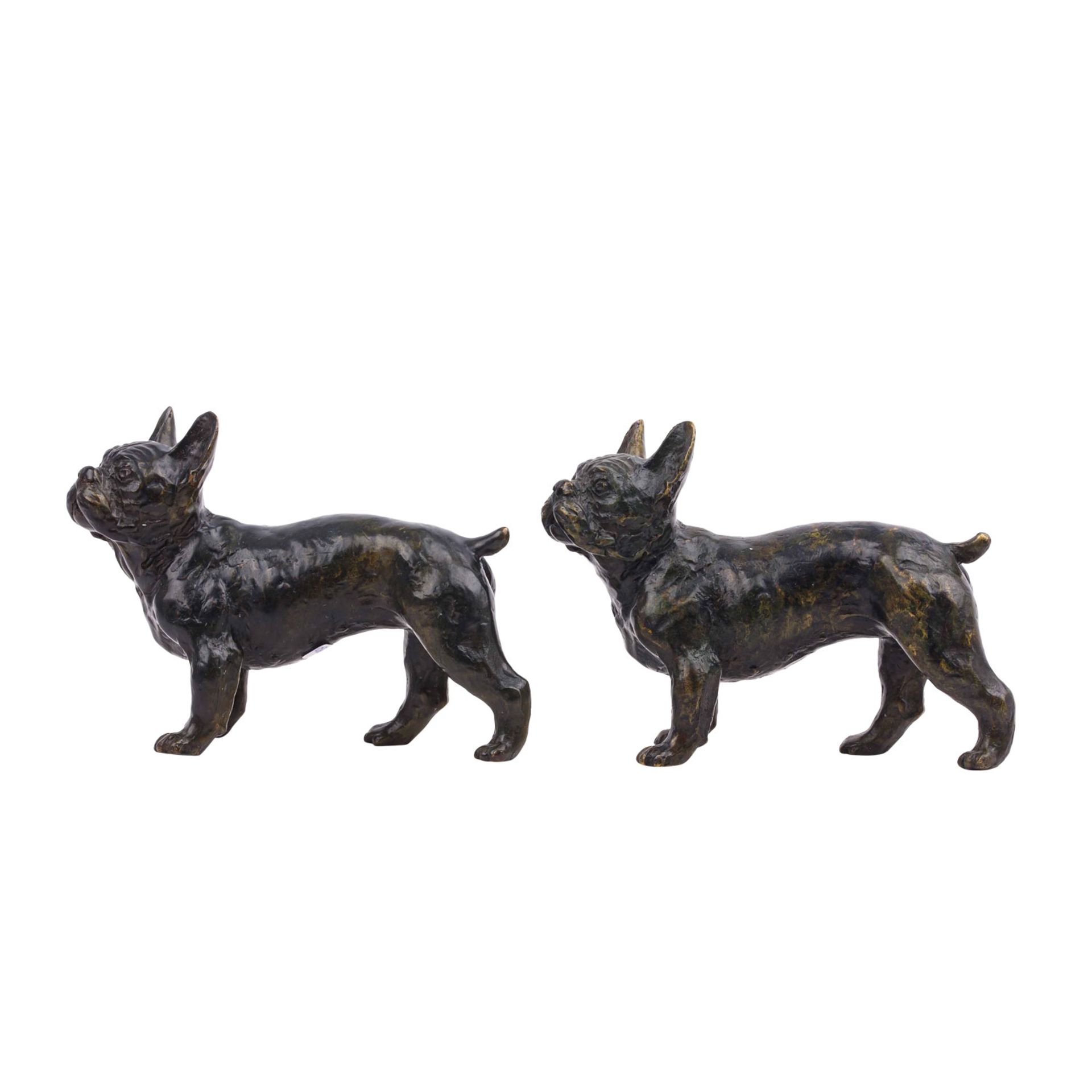 Zwei Bulldoggen aus Bronze, - Bild 2 aus 6