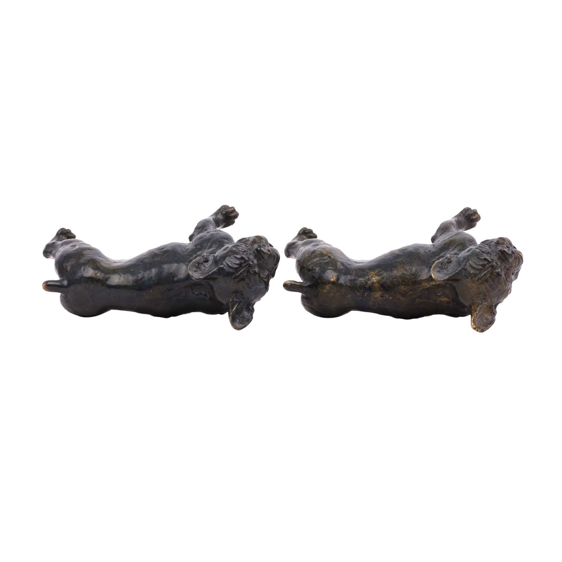Zwei Bulldoggen aus Bronze, - Bild 5 aus 6