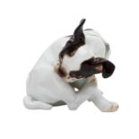 MEISSEN seltene Tierfigur "Zwergbulldogge, sich putzend", 20. Jh.