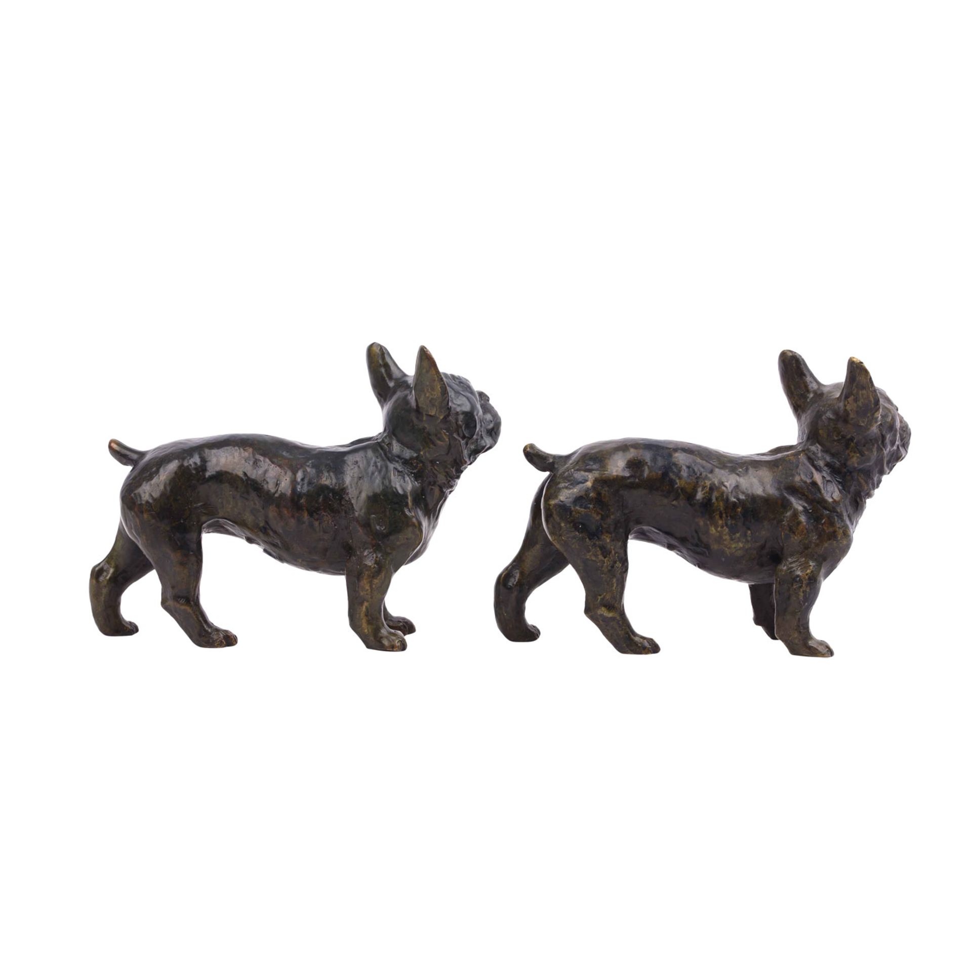 Zwei Bulldoggen aus Bronze, - Bild 4 aus 6