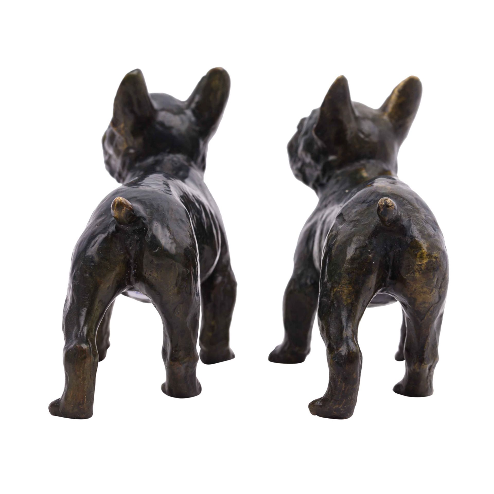 Zwei Bulldoggen aus Bronze, - Bild 3 aus 6