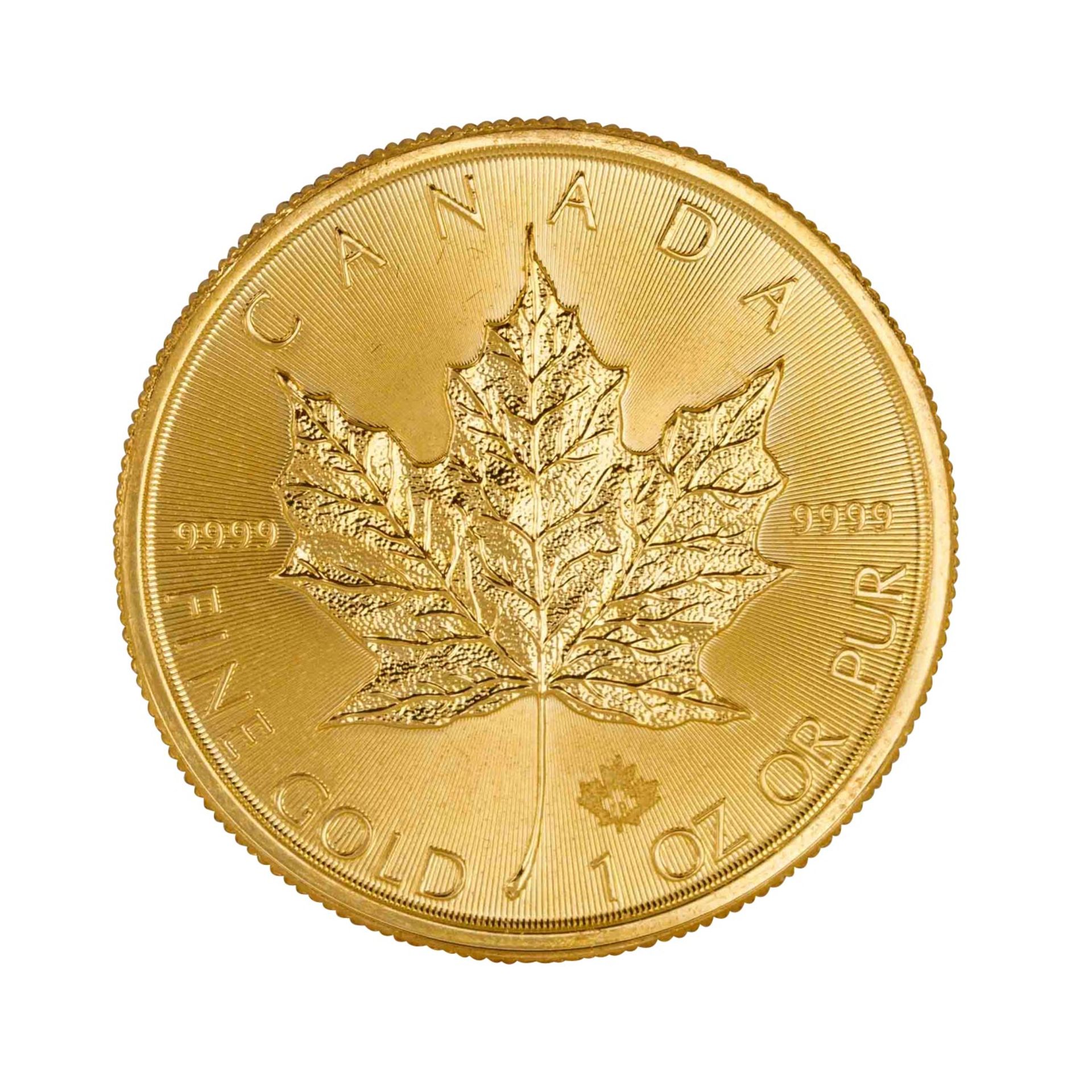 Kanada /GOLD - Elisabeth II. Maple Leaf 1 Unze 2019 - Bild 2 aus 2