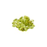 Konvolut Peridot von 28,7 ct