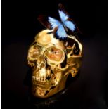 Rory Hancock (b. 1987), 'Butterfly Kiss'. Limited-edition print. Framed. Image size 66 x 66cm.