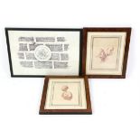 Pictures, to include: nineteenth-century French print depicting Napoleon Bonaparte,