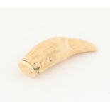 19th century whale's tooth snuff box, 11cm long,