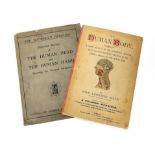 The household physician : dissected models of the human head and the human hand showing the