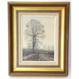 Edward Stamp (British, twentieth century), 'Elm Tree Near North Marston, Buckinghamshire' (1978).