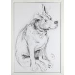 April Shepherd, 'Dog Portrait IV', original drawing on mounted paper, 76cm x 51cm