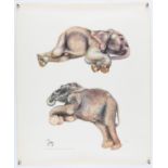 After Joy Adamson, two limited edition prints, Baby Elephants and Tropical Fish, 97 and 98/500,