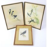 Pictures, to include: J. Gould and W. Hart, pair of bird prints, framed and glazed,