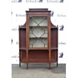 Early 20th century mahogany display cabinet with astragal glazed doors flanked by shelves over an