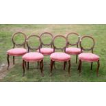 Set of six Victorian walnut balloon back chairs, with overstuffed seats and moulded cabriole legs